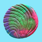 Uniconcha Cookie